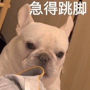 ERGGGDFFDH435435